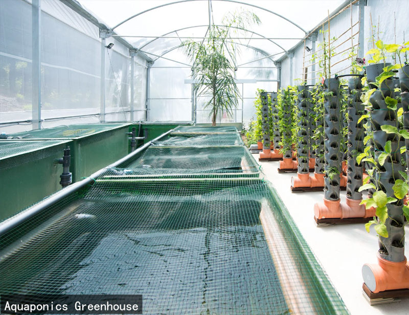 ระบบลมสุริยะสำหรับ Aquaponics Greenhouses03